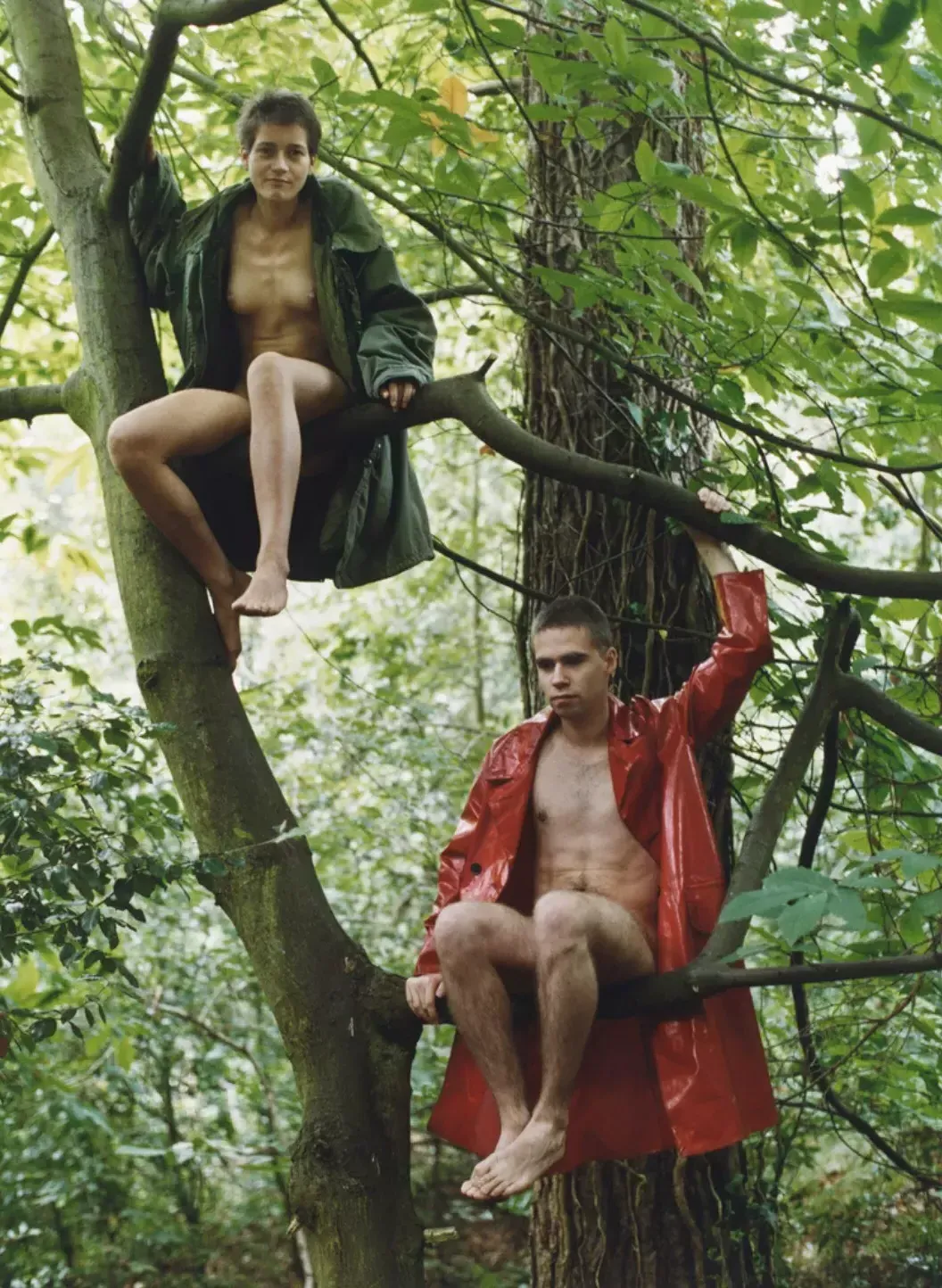 Wolfgang Tillmans, 1992, Lutz & 亚历克斯坐在树上